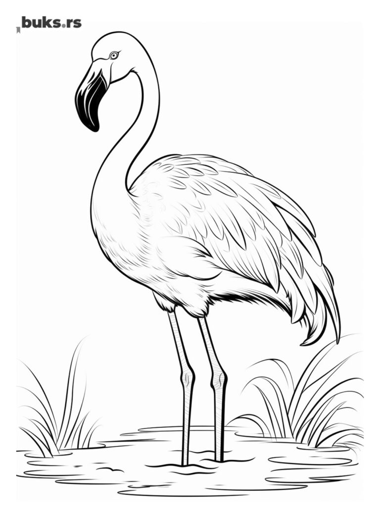 Flamingo, bojanka životinje, za decu.