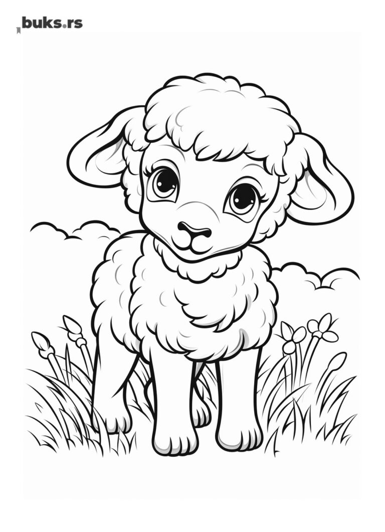 Mala ovca, crtež i bojanka za decu, za bojenje i štampanje.